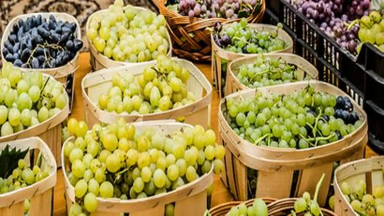 Bor- és csemegeszőlő fesztivál 2024 Vonyarcvashegy