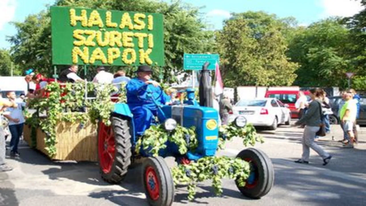 Halasi Szüreti Fesztivál 2024 Kiskunhalas