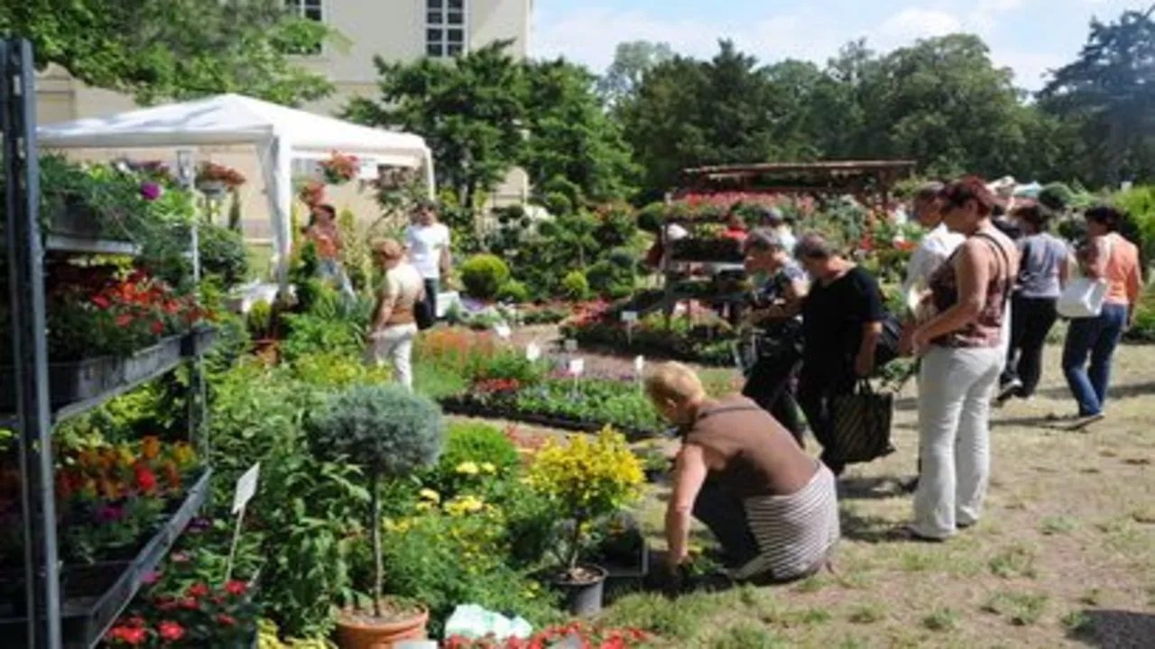 Európai dísznövény és kertművészeti napok 2024 Fehérvárcsurgó